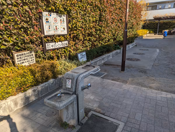 中三いこいの広場の写真2