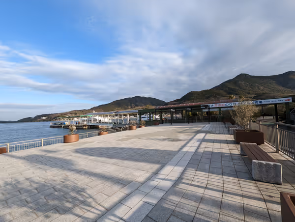 太陽の贈り物の写真3