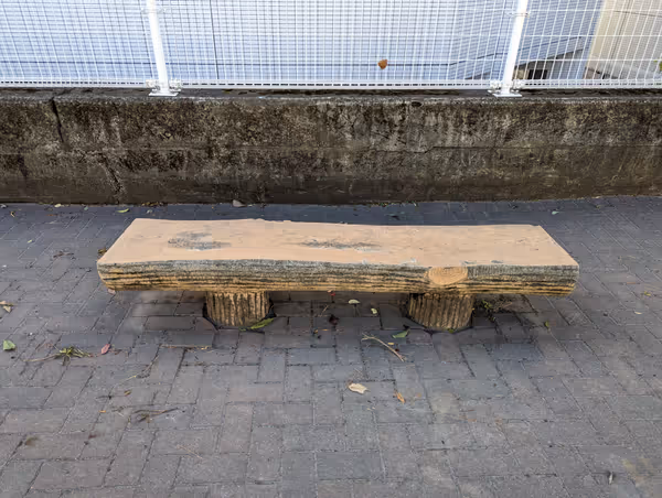 南陽小学校前歩道の写真2