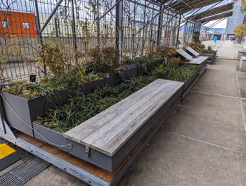 京都駅京都駅ビル 3F 南遊歩道の休憩場所その5