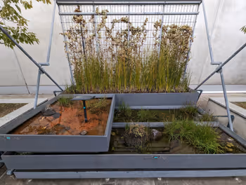 京都駅京都駅ビル 3F 南遊歩道の休憩場所その7