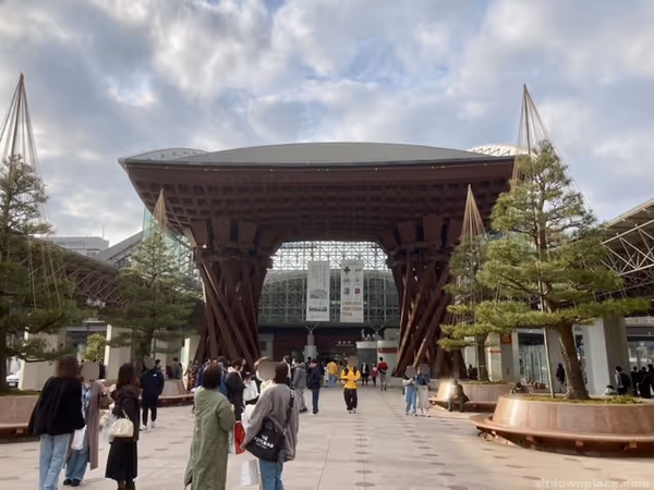 鼓門前の6本の黒松の写真1