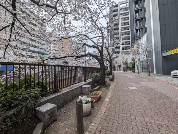 呑川 仲之橋付近遊歩道の写真1