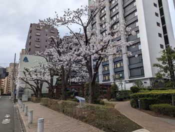 京急蒲田駅蒲三アイリス児童公園の休憩場所その5