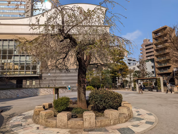 Photo of Kamata Station | Honkamata Park | Rest Spot 3