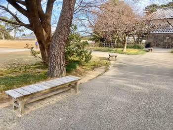 Photo of Hokutetsu Kanazawa Station | Kanazawa Castle Park, Ishikawa Gate Near Walking Path | Rest Spot 3
