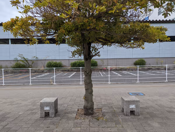 東口ロータリー付近の写真2