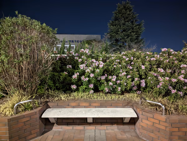 Photo of Nerima Station | North Exit Pedestrian Deck | Rest Spot 5
