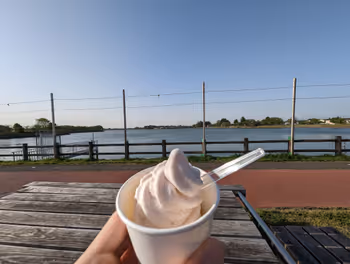 下妻駅砂沼 サンSUNさぬま付近の休憩場所その3