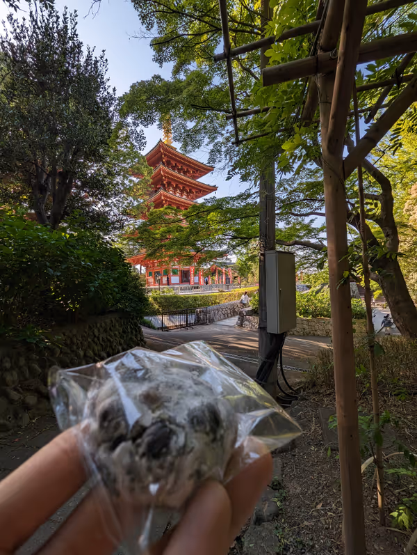 高幡不動尊 山あじさい鑑賞路の写真2