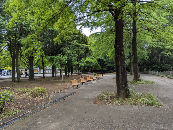 光が丘公園 鑑賞池周辺の写真1