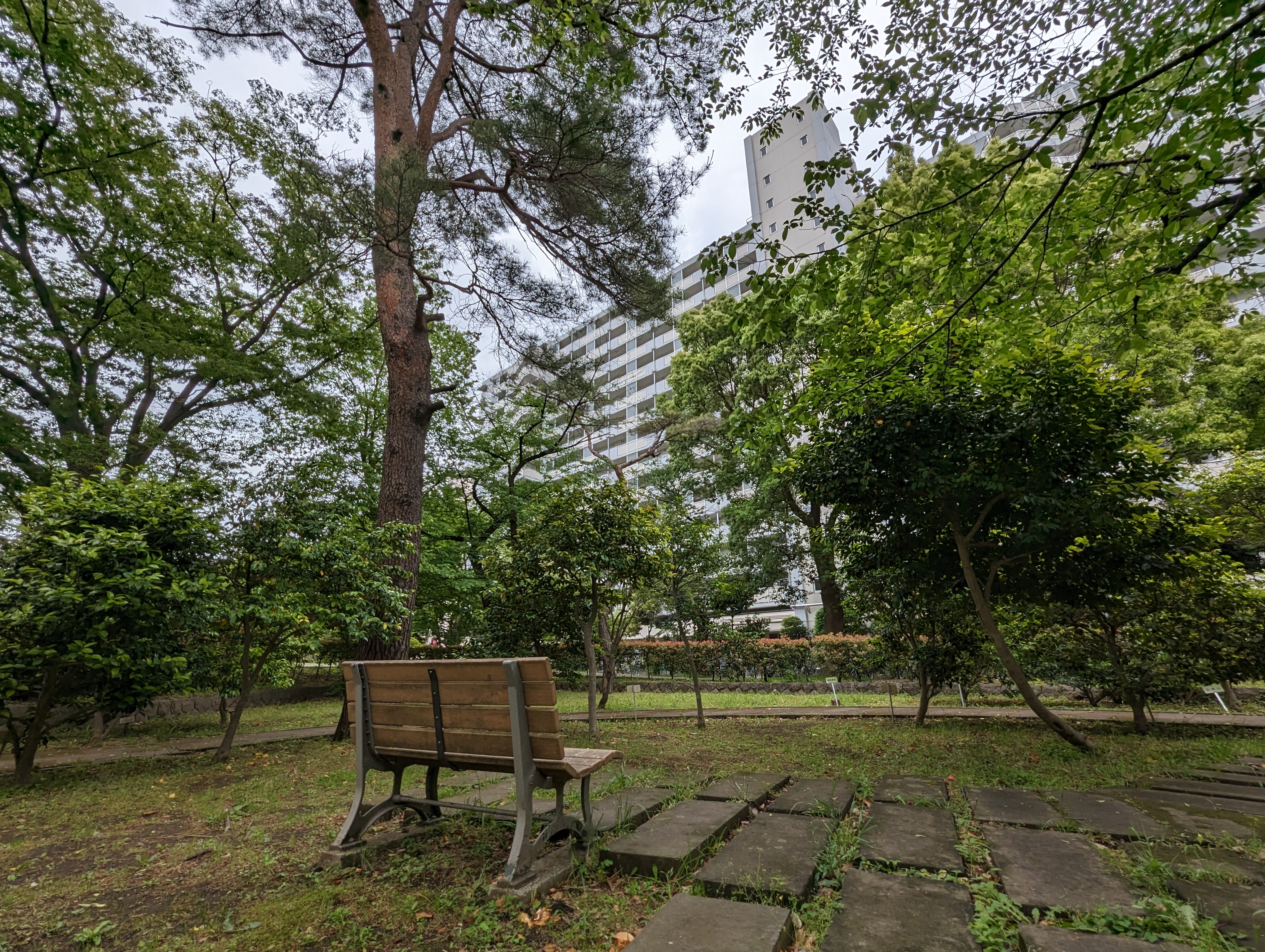 [光之丘站] 夏雲公園 椿園 休息處 的照片 1