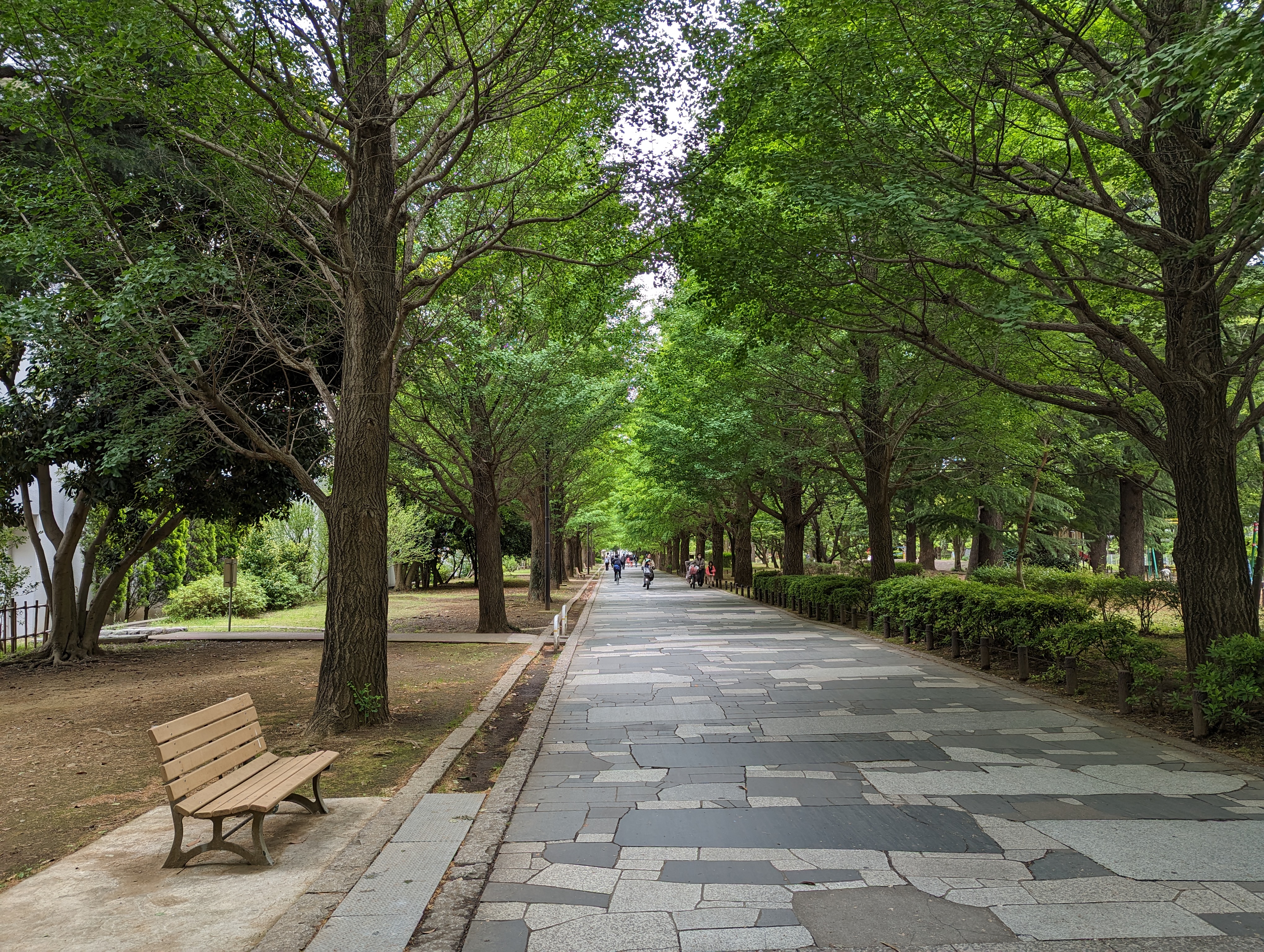 Photo of Hikarigaoka Station | Summer Cloud Park Approach | Rest Spot 1