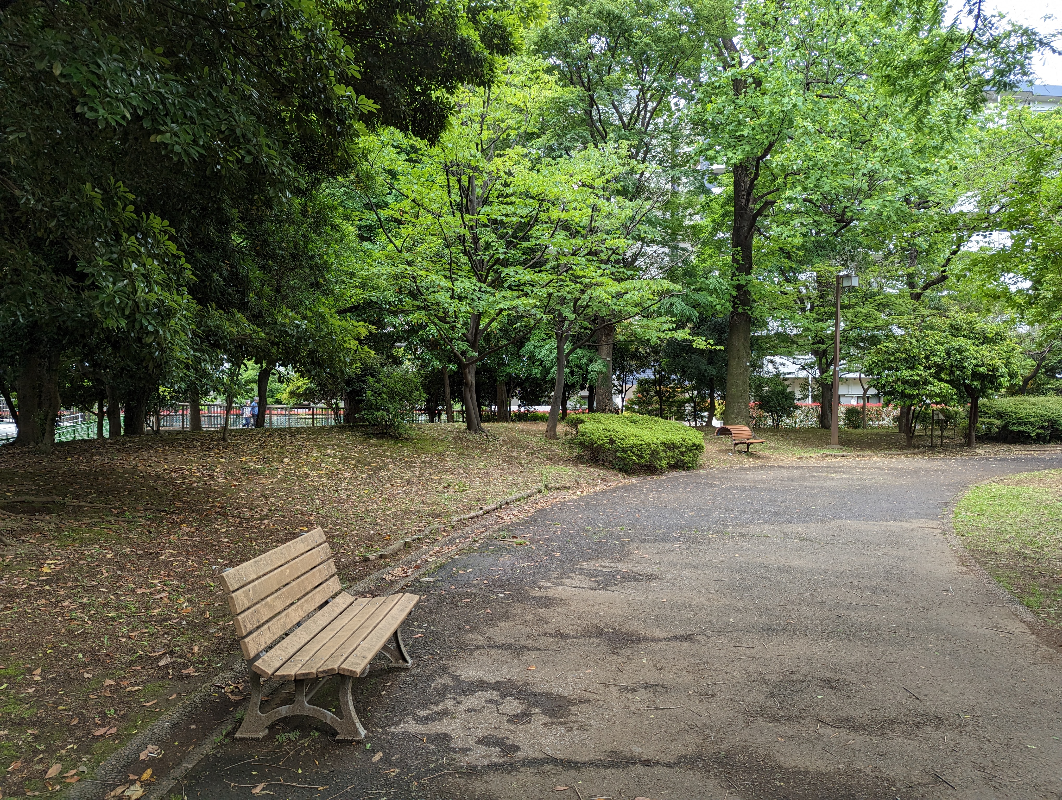 Photo of Hikarigaoka Station | Near Nobi-nobi Plaza, Natsugumo Park | Rest Spot 1