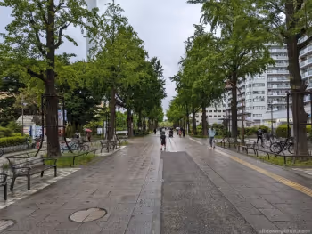 光之丘车站 亲睦之路的休息场所1