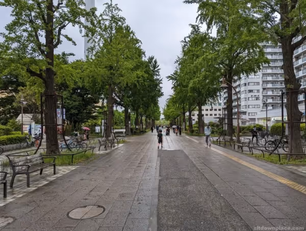 Photo of Hikarigaoka Station | Path of Connection | Rest Spot 1