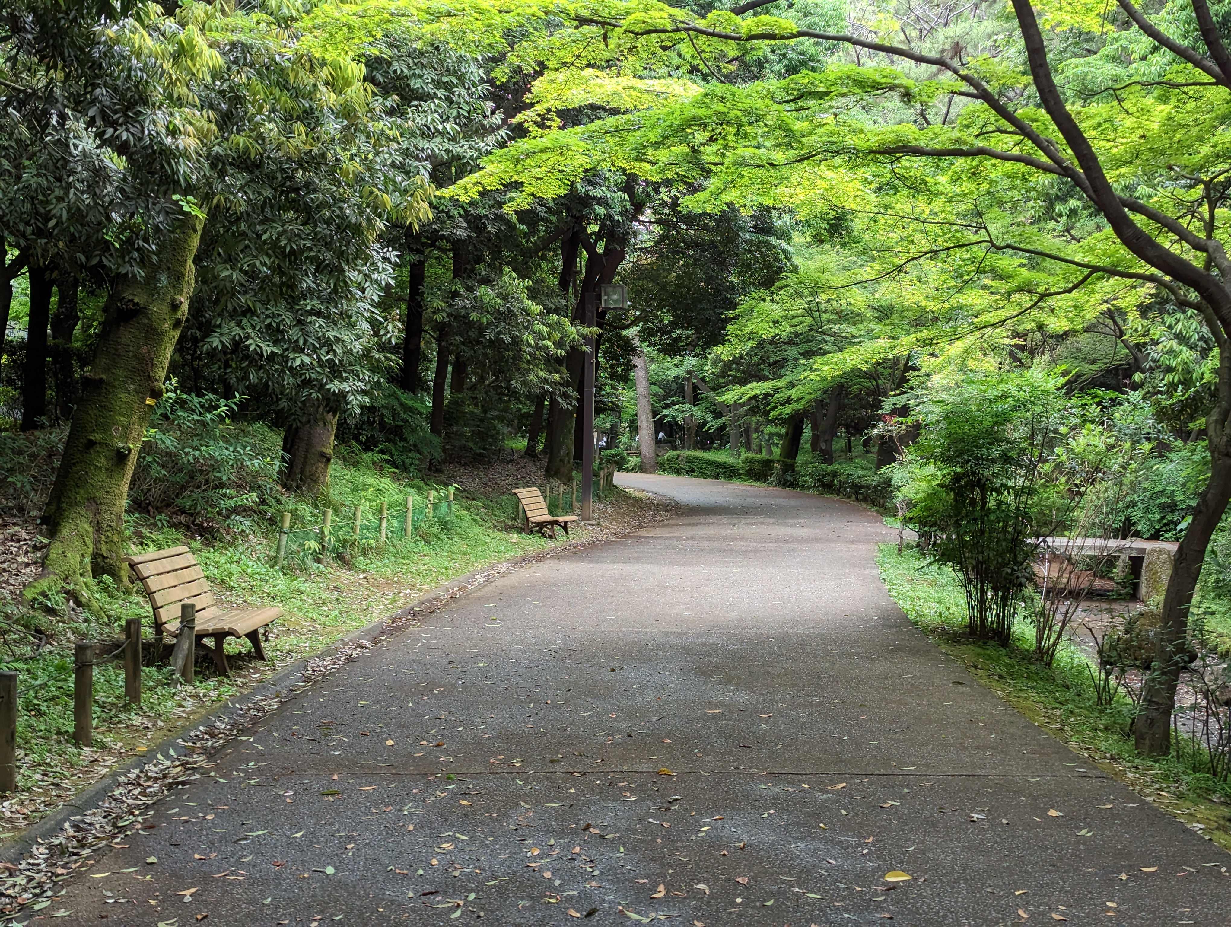 Photo of Hikarigaoka Station | Spring Breeze Park, Babbling Brook | Rest Spot 1