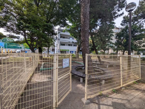 北新井公園の写真4