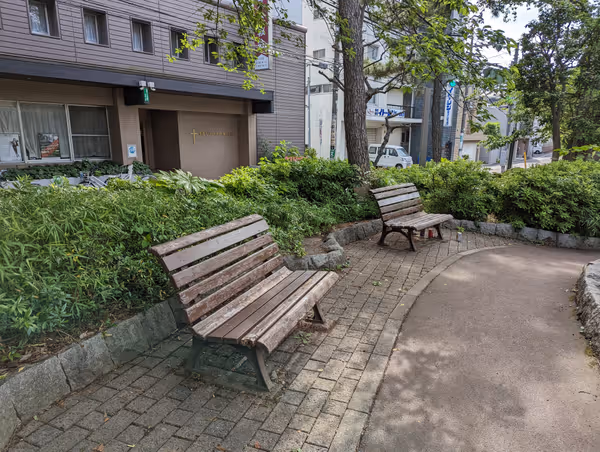 北新井公園の写真3