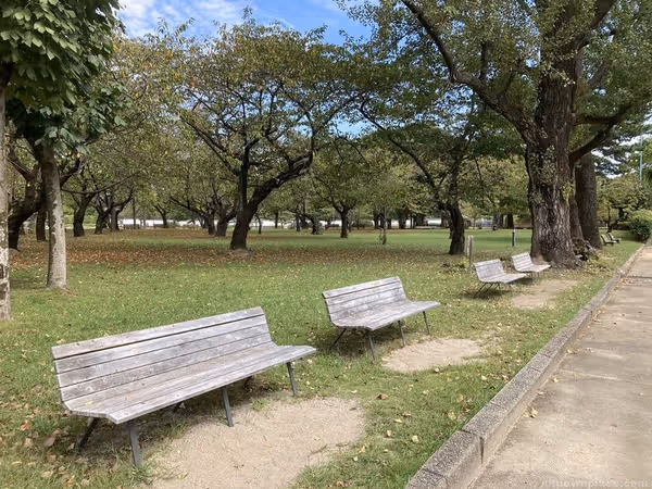 Photo of Shin-Shizuoka Station | Sunpu Castle Park | Rest Spot 3