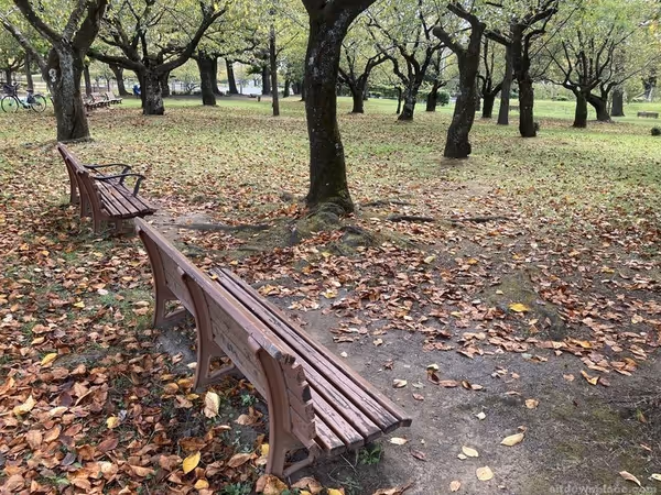 Photo of Shin-Shizuoka Station | Sunpu Castle Park | Rest Spot 1
