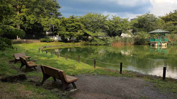 舟遊池周辺の写真6