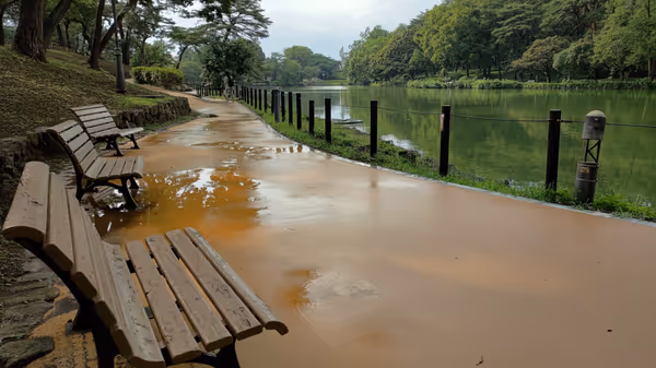 舟遊池周辺の写真2