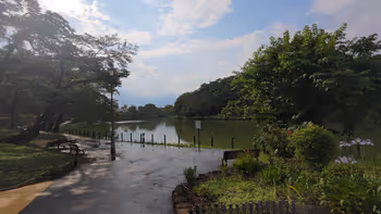 大宮公園駅舟遊池周辺の休憩場所その1