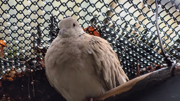 時計塔・小動物園周辺の写真5