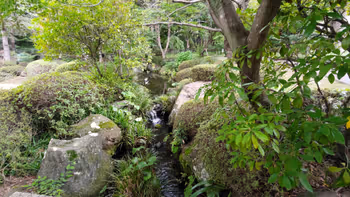 大宮公園駅日本庭園の休憩場所その5