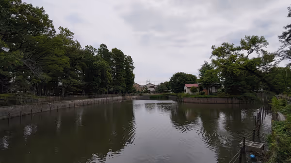 碑文谷公園の写真1