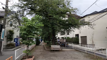 都立大学站呑川绿道 八云桥自行车停放处周边的休憩场所 其1