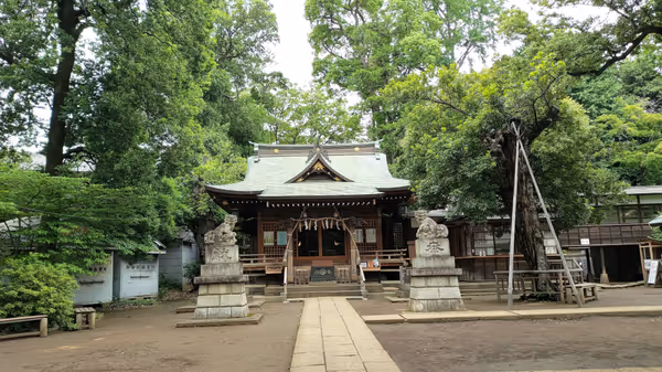 八雲氷川神社の写真2