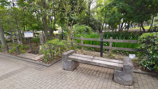 柿の木坂通りの写真2