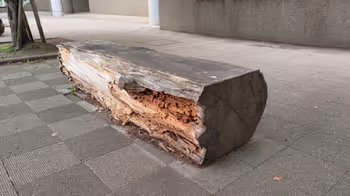 东中神站S&D昭岛体育场周边的休息场所之四