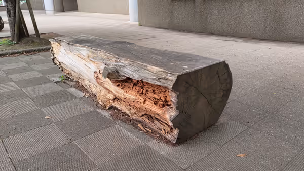 Foto von S&D昭島スタジアム周辺 4