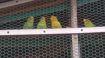 東中神駅昭和公園の休憩場所その3