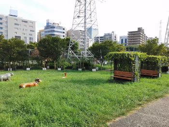 Resting place in Shin-Yokohama Station Shin-Yokohama Ekimae Park, Part 6