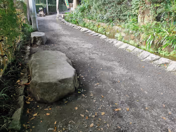 国分寺駅お鷹の道 真姿の池周辺の休憩場所その2