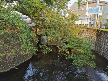 Rest Area 4 in the Fudo Bridge Pocket Park near Kokubunji Station