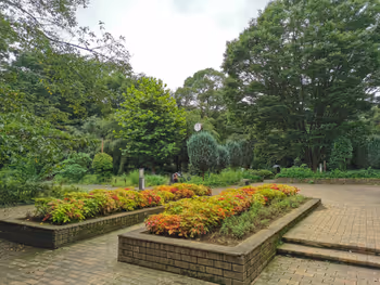 柴崎体育馆站诹访之森公园的休息场所之一