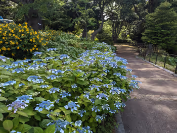 元町・中華街駅元町公園 ブラフ溝付近の休憩場所その1