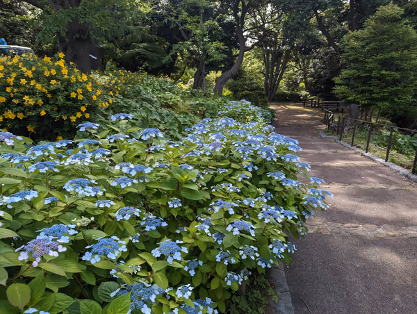 Photo of Motomachi-Chukagai Station | Motomachi Park Bluff Gully Near | Rest Spot 1