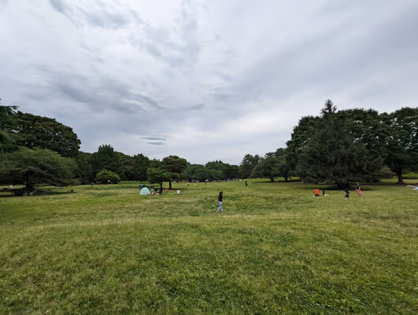 Photo de 光が丘公園 芝生広場 2