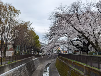鹭之宫站鹭宫运动广场 1号楼侧的休息场所 其4