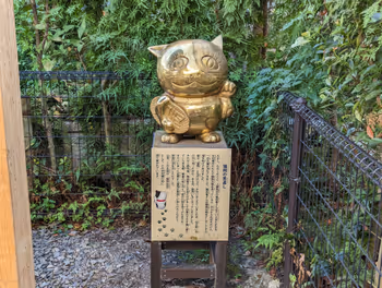 中村桥站南口 猫飞的报恩 休息场所 其四