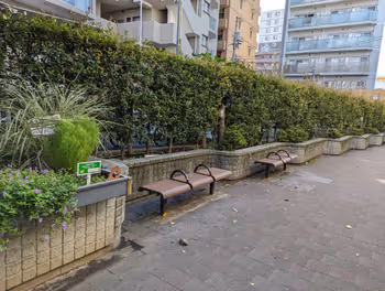 中村桥站南口 猫飞的报恩 休息场所 其一