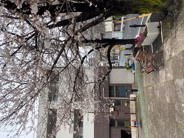 Photo of Morishita Station | Kikuichi Park | Rest Spot 1