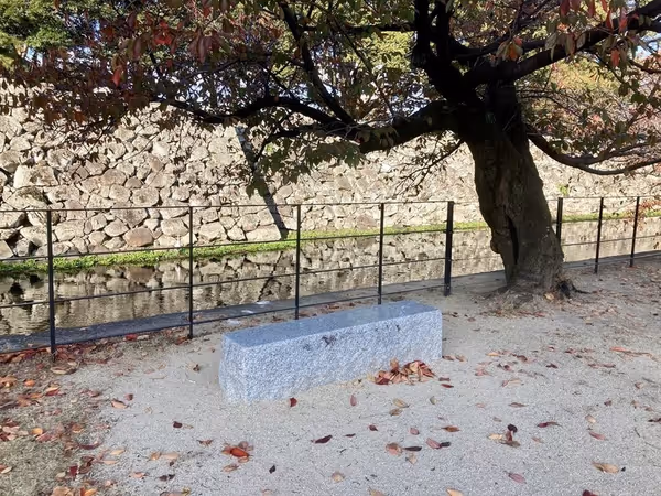 大分城址公園外苑 木下郁・上田保銅像周辺の写真1