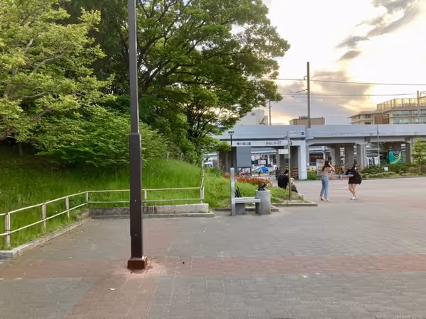 梅小路公園 アオウミガメのオブジェの写真1